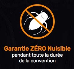 Entreprise anti-fouine à Metz et Nancy : les solutions Auxidys